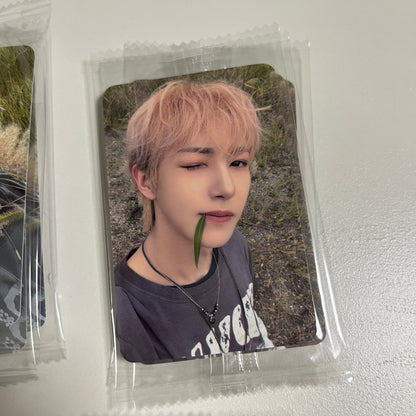 NCT DREAM KTOWN4U POB Photocard Album "BEAT IT UP" Official - 25.12.03